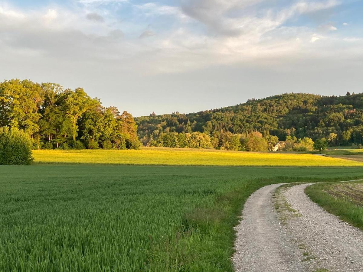 Buesingen Am Hochrhein Radfahren, Wandern, Natur Geniessen エクステリア 写真