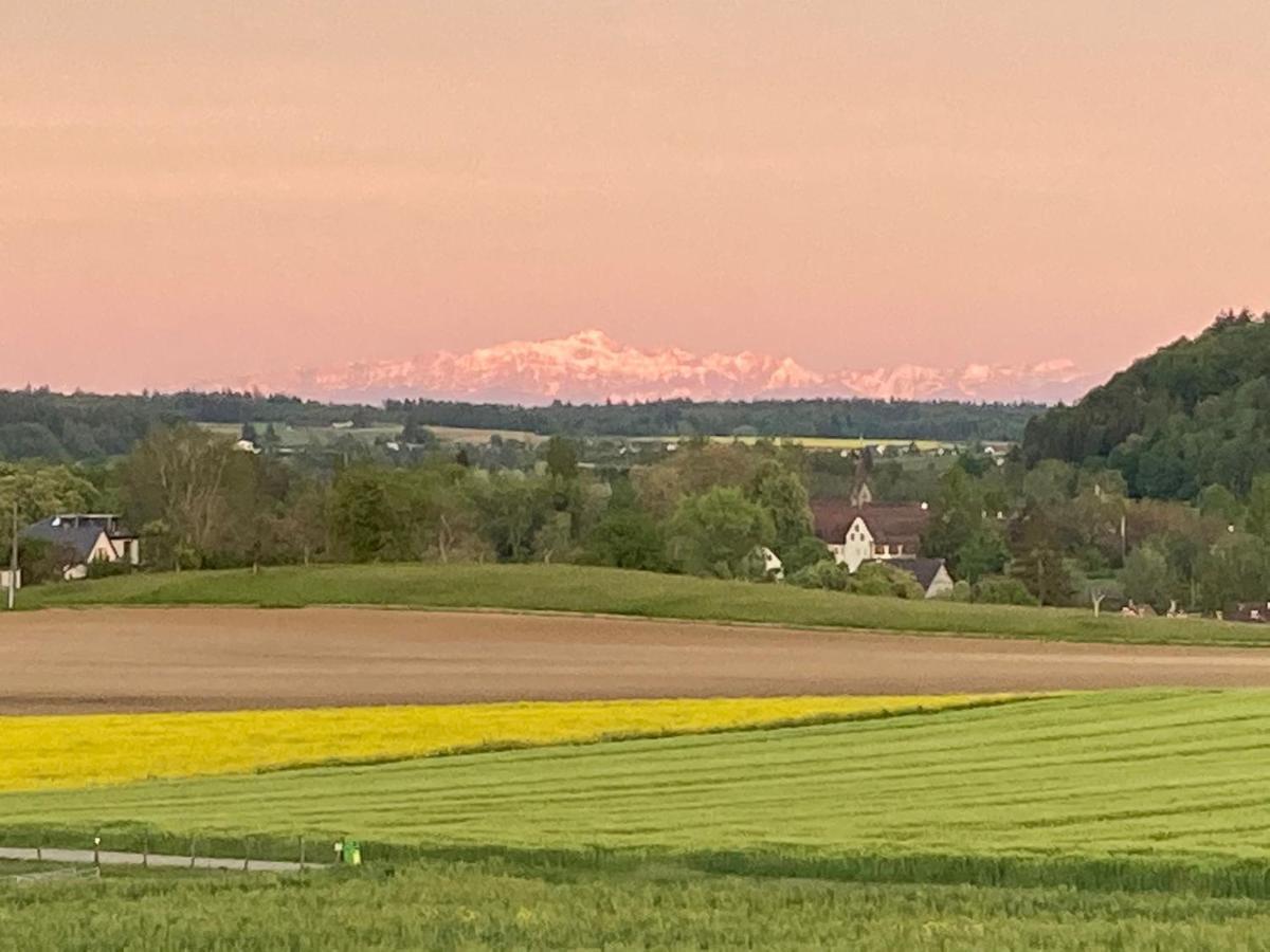 Buesingen Am Hochrhein Radfahren, Wandern, Natur Geniessen エクステリア 写真