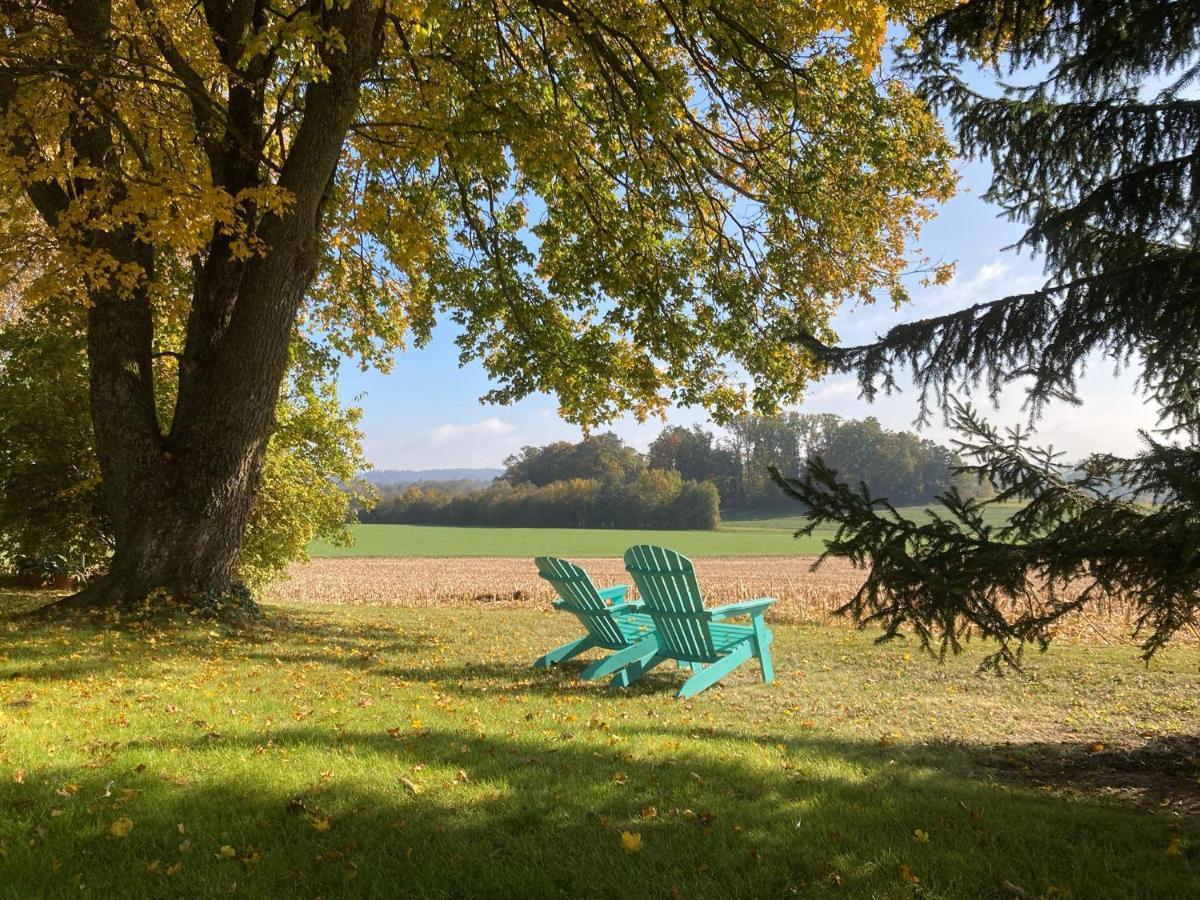 Buesingen Am Hochrhein Radfahren, Wandern, Natur Geniessen エクステリア 写真